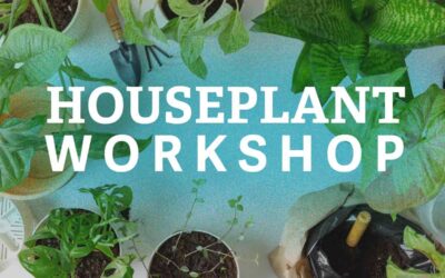 Houseplant Workshop