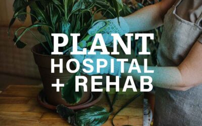 Plant Hospital & Rehab