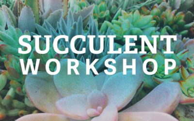 Succulents Workshop