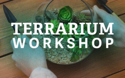 Terrarium Workshop